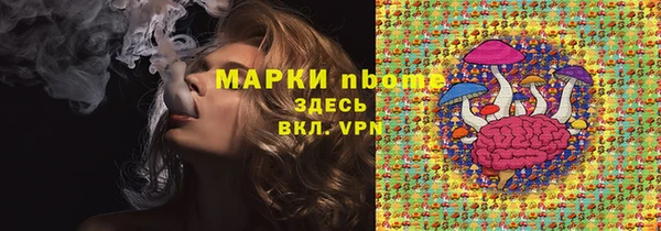 не бодяженный Горно-Алтайск