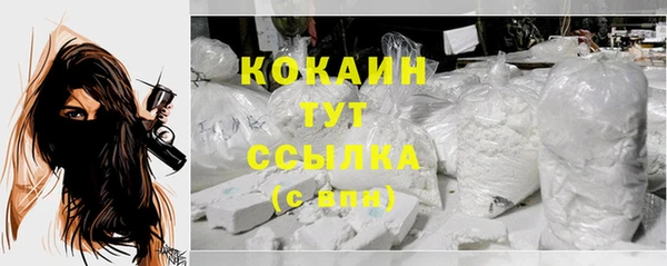 не бодяженный Горно-Алтайск